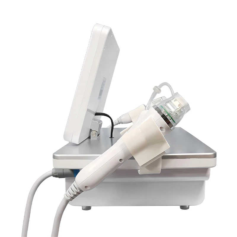 Portable 2 IN 1 10 25 64 Pins Skin Tightening Rejuvenation Wrinkle Stretchmark Removal Rf Fractional Gold Microneedle Machine