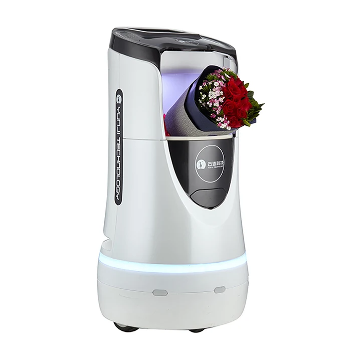 
Active Welcome And Sound Welcome Robot Assistant Receptionist Robot Server 