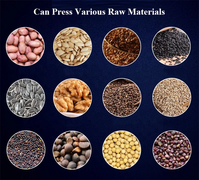 Stainless Steel Oil Press 220V Automatic Olive Peanut Edible Oil Extractor Squeezer Easy Operation Commercial Use