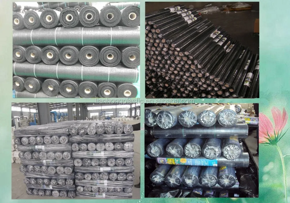 Woven Weed Control Pp Weed Control Mat Garden Landscape Fabric For Blueberry Factory Price Shandong Factory Direct Sale