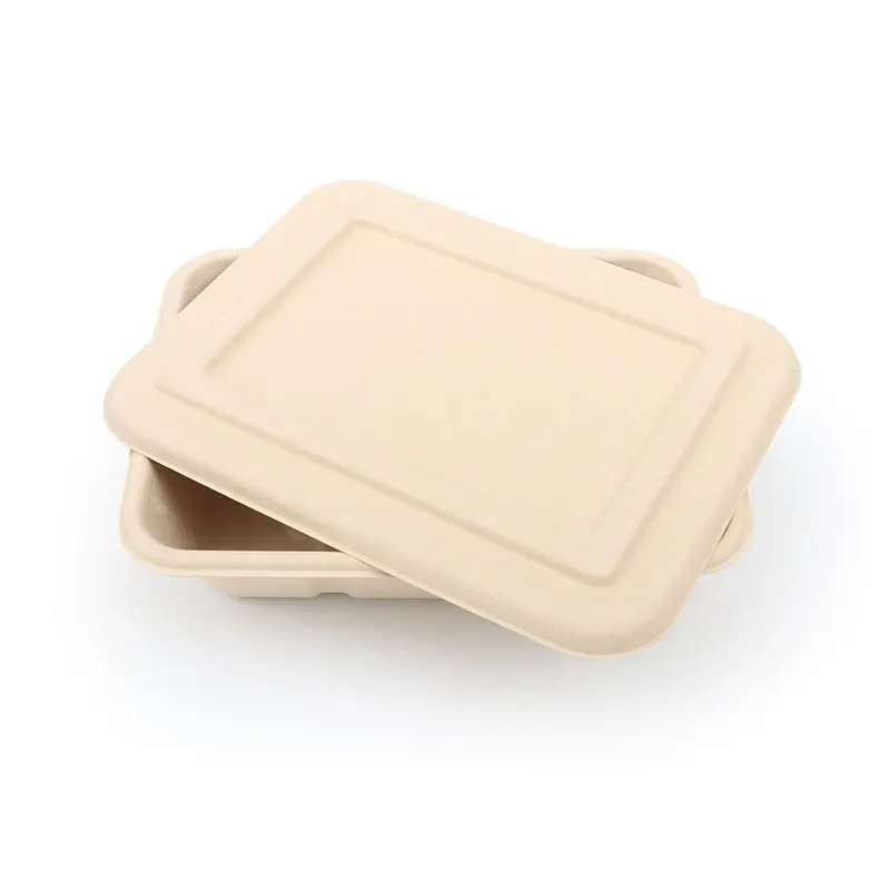Customized Lunchbox To Go Container Sandwich Disposable Takeaway Packaging Food Boxes