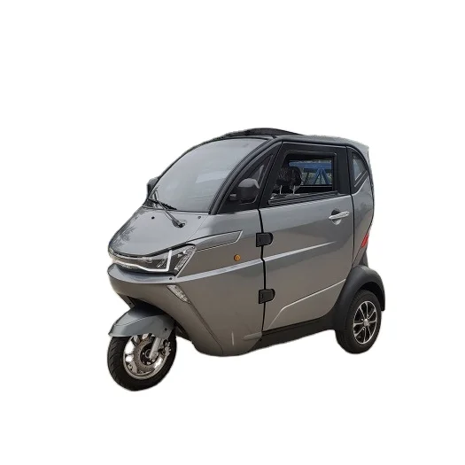 EEC Trikes 3 Wheel Adults Electric  Cargo Trike Adult Trike Motorcycle For EU market