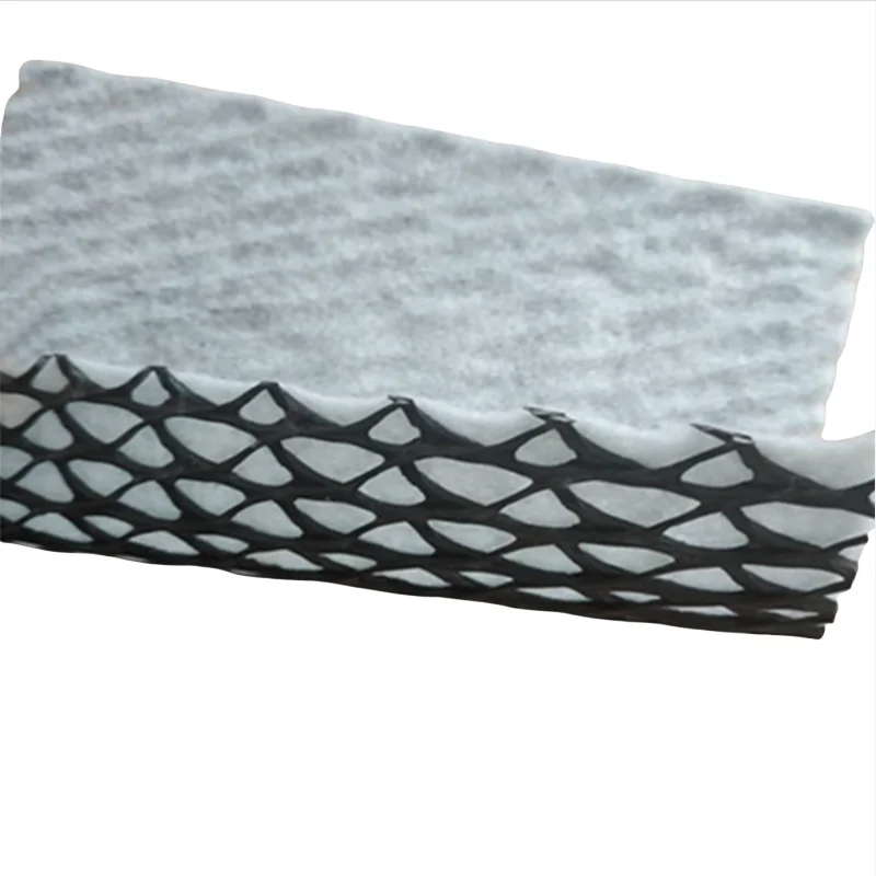 3D Composite Drainage Composite Geo net geonet for landfill & roadbed