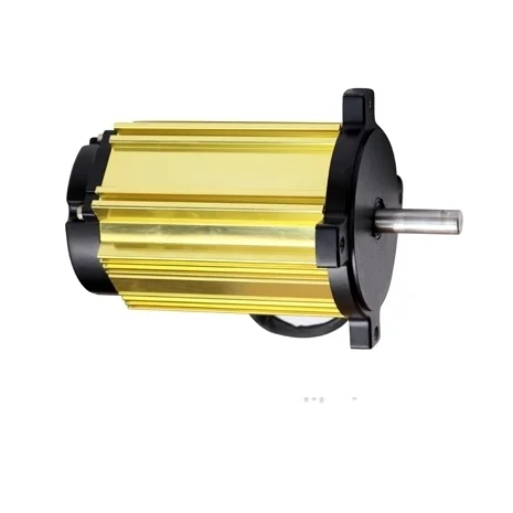 Wholesale from China factory quality 750-1500W custom rc electric outboard motor 3000rpm