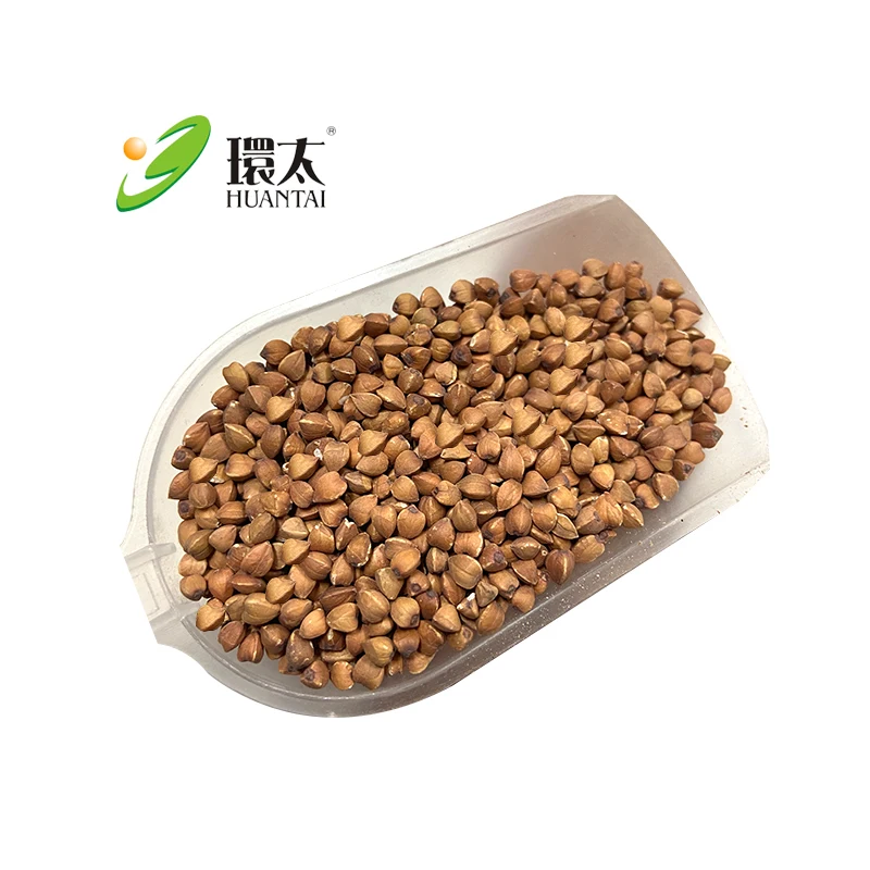 Huantai Direct Wholesale Roasted Buckwheat Dehulled Buckwheat Organic