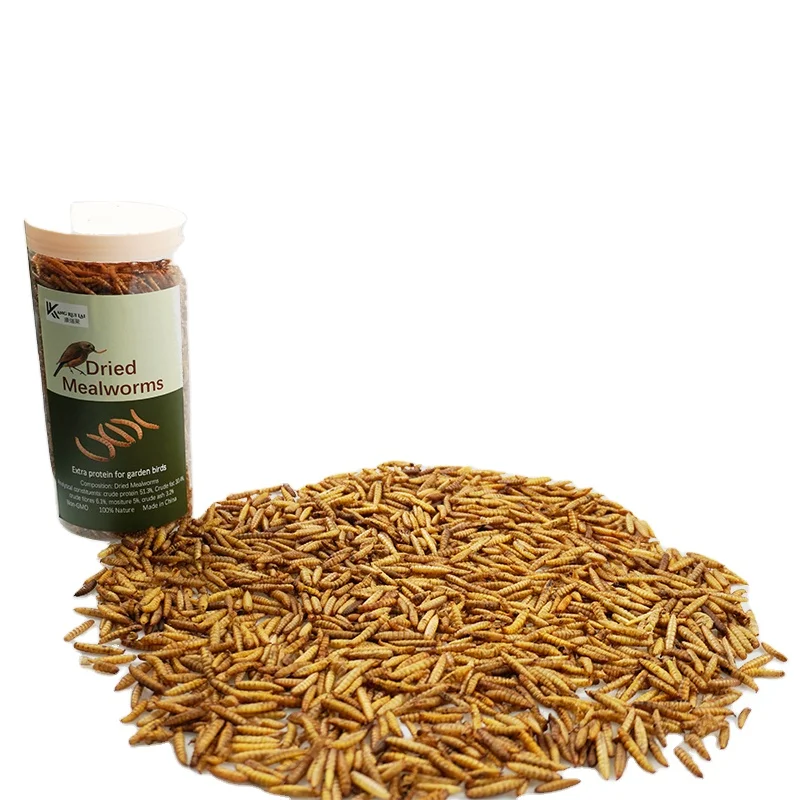 Best Quality Dried Mealworms With High Nutrition For Bird/Fish Feed For Sales