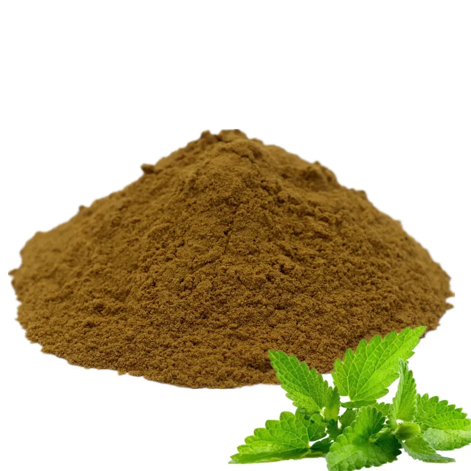 High quality 4:1 Melissa officinalis Extract Powder
