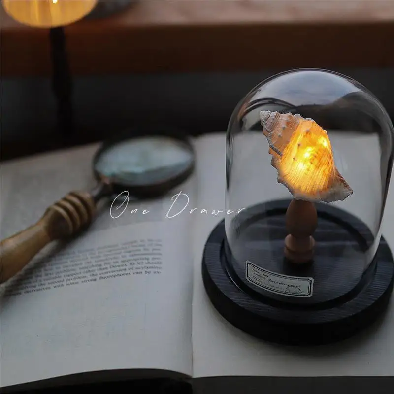 Ocean island retro shell sea urchin conch lamp night light ornaments handmade DIY material package desktop ornaments