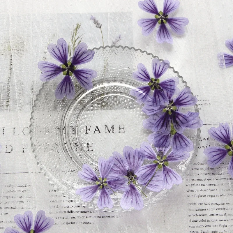Factory Wholesale DIY material Dried flower pressed Mallow for Phone Case Nail Art Jewelry Postcard candle making decoration