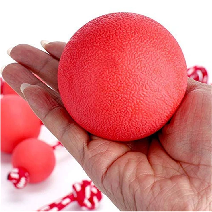 Hot Sale Pet Molar Toy with Rope Rubber Dog Toy Ball Dog Training bite Resistant Ball Solid Bouncy Ball