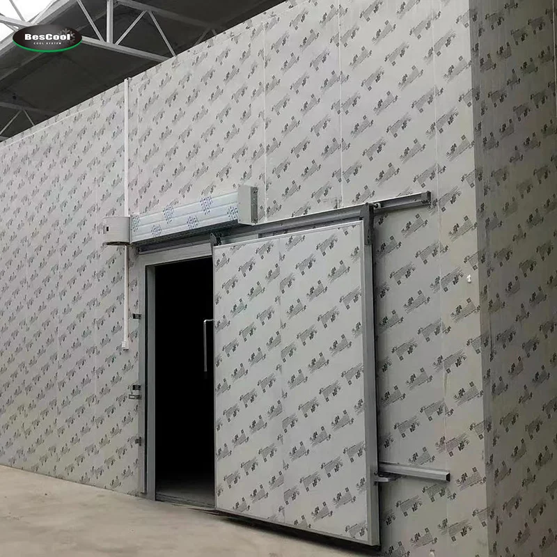 cold room hinged door PU sandwich panel  plate 10/12/15cm for Bescool freezer  storage bin container Cooling stainless  steel