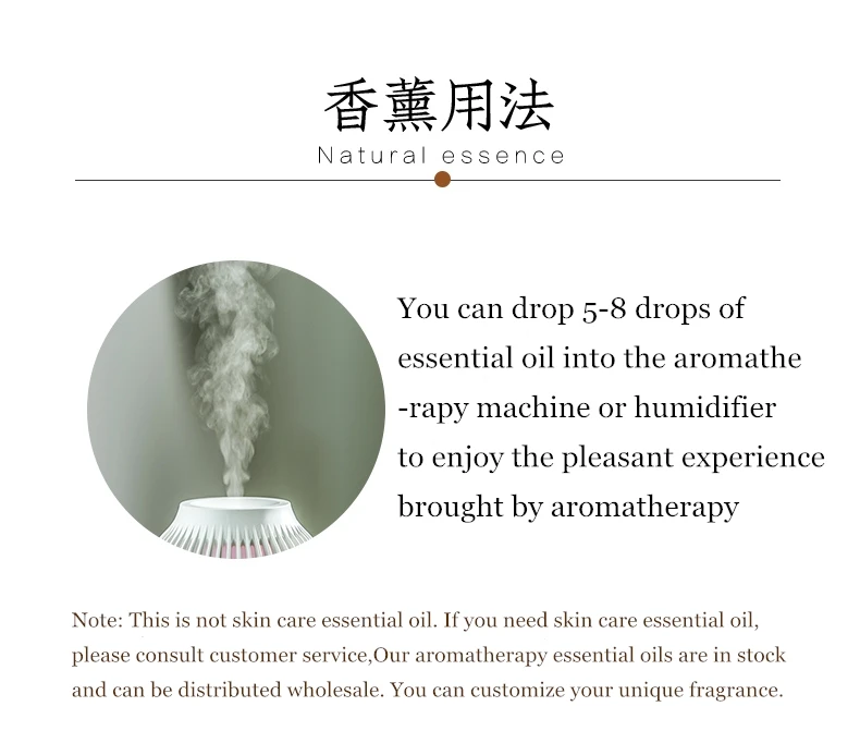 Aromatherapy Rose Fragrance Oil For Air Fresheners Bedroom Rooms Perfume Incense Diffuser Essential Oil Set