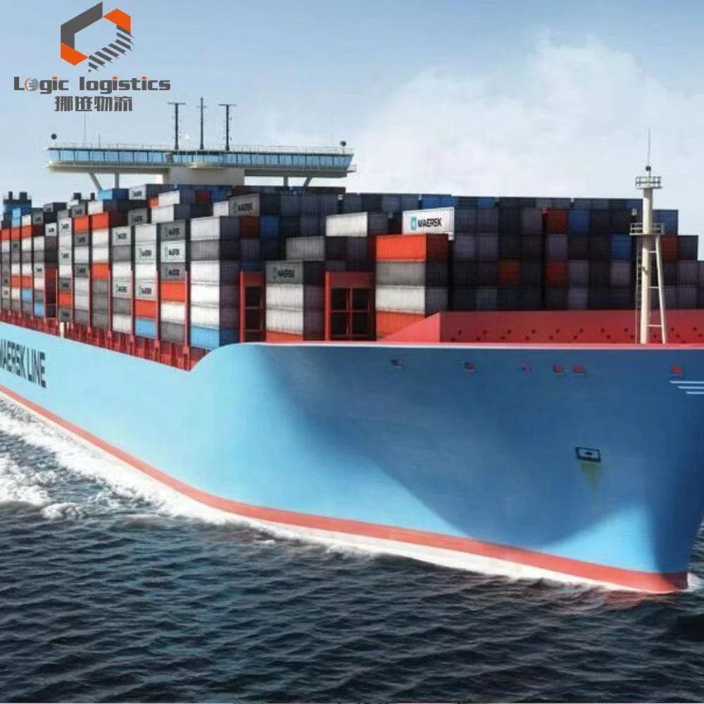 China to India IN professional logistics team ddp Clothing shoes wireless headphones cosmetics