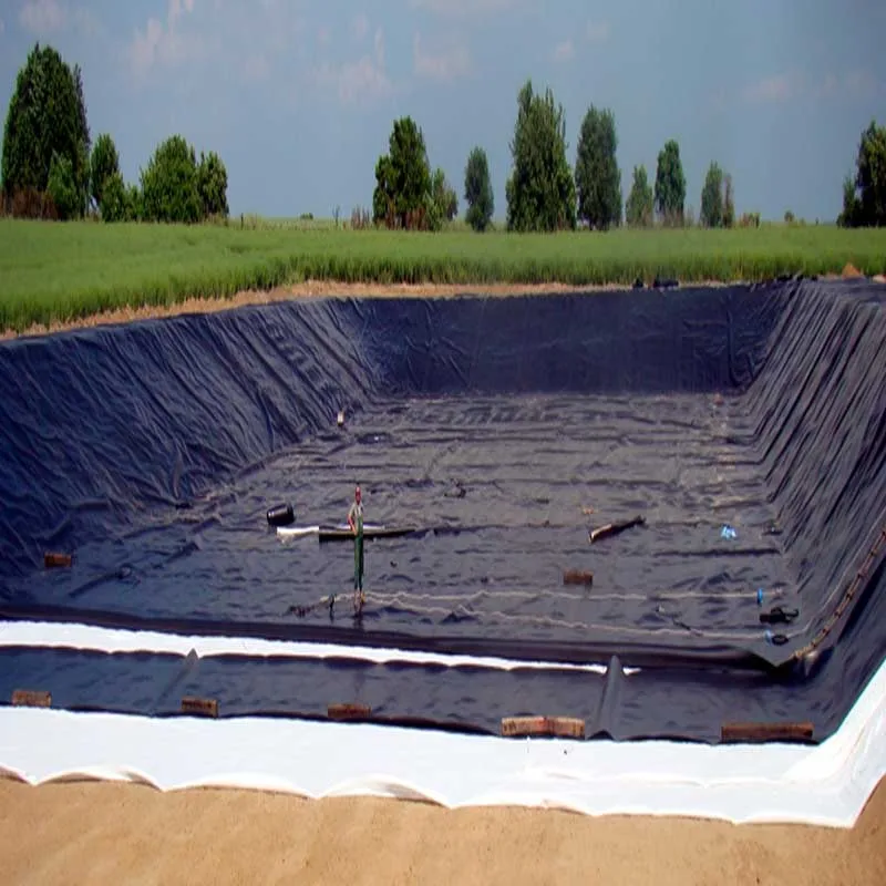HDPE Geomembrane 1mm UV Resistant Plastic Liner Ponds Dams Fish Farms Aquaculture Outdoor Applications EVA PE LLDPE EPDM