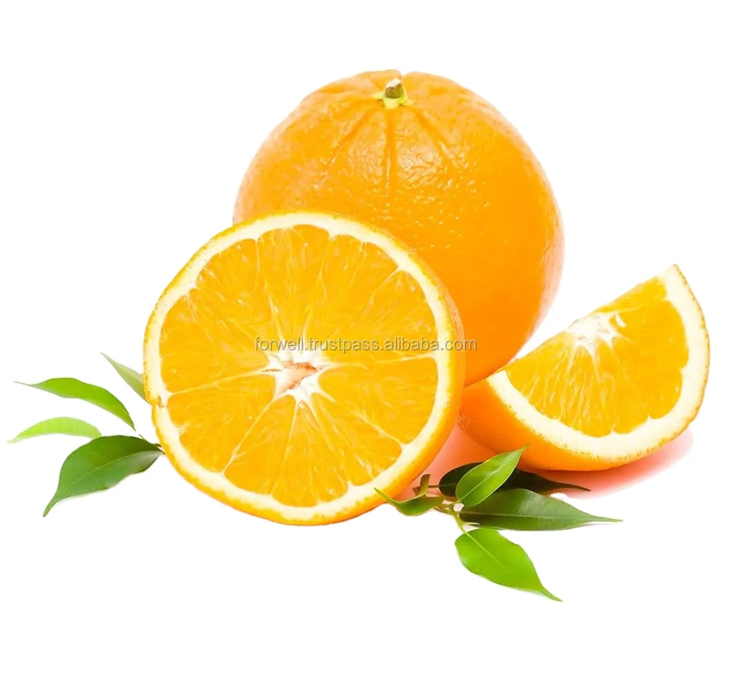 VALENCIA ORANGE FOR FRESH JUICE  HIGH QUALITY WITH COMPETITIVE PRICES FOR EXPORT