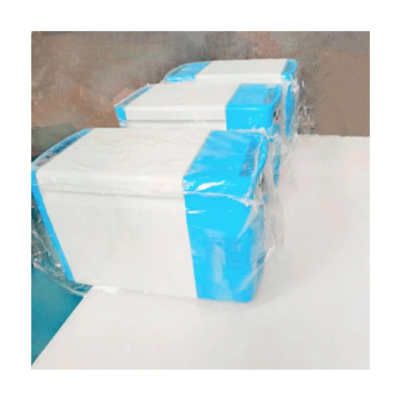 Commercial Ultra-Low Temperature -60 Degrees Tuna Chest Freezer Portable Battery Electric Compressor Offshore Fisheries RV