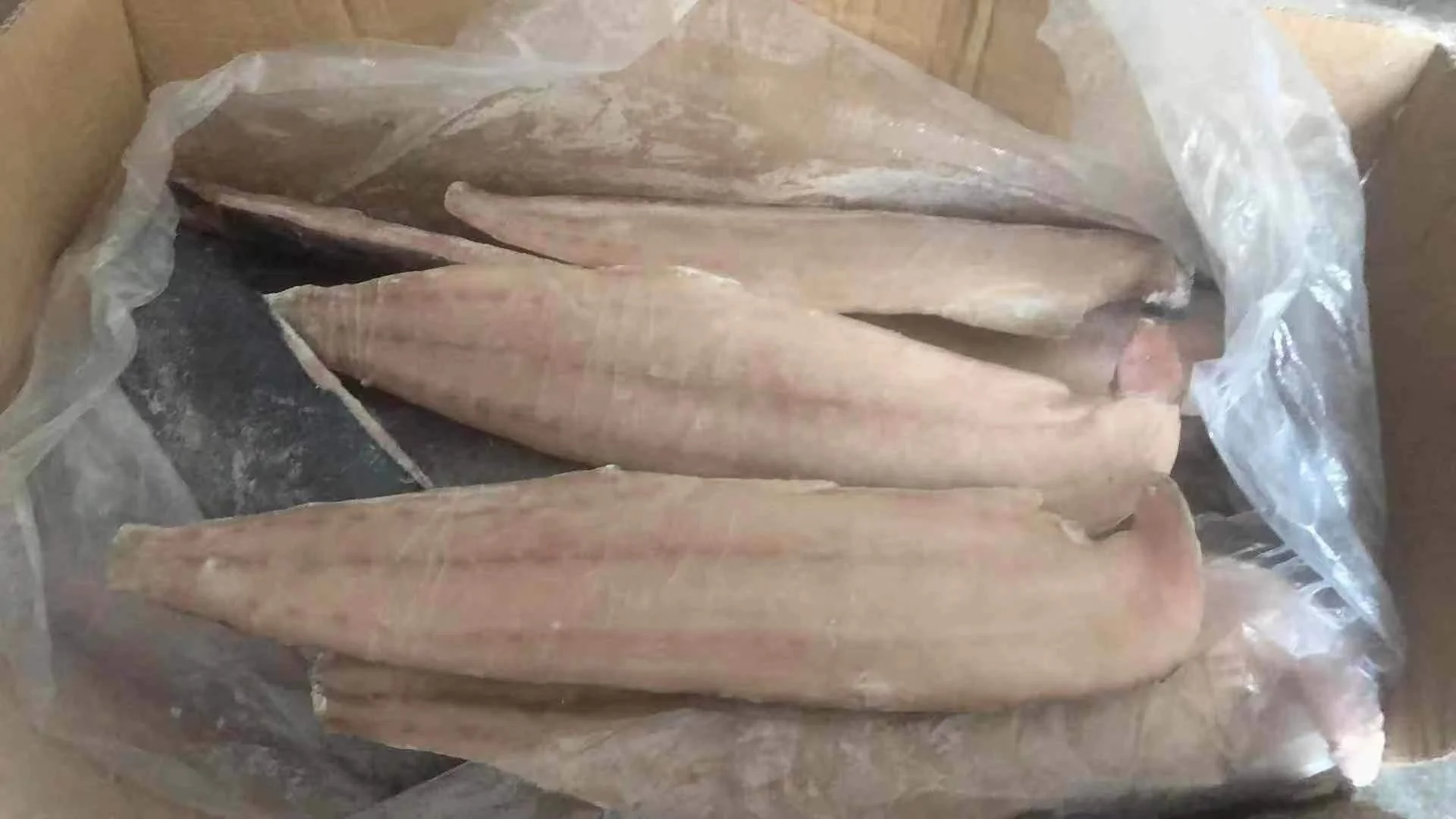 SEAFOOD Mahi mahi fish fillet/Mahi Mahi fish/frozen mahi mahi