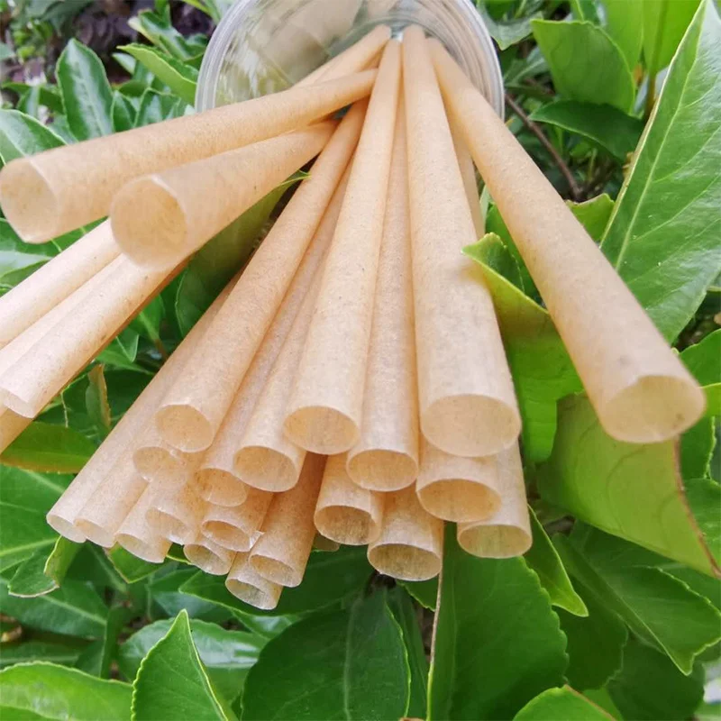 Vegetable fiber Individual wrapped sugarcane bagasse straw Compostable bio degradable Sugar cane drink straw