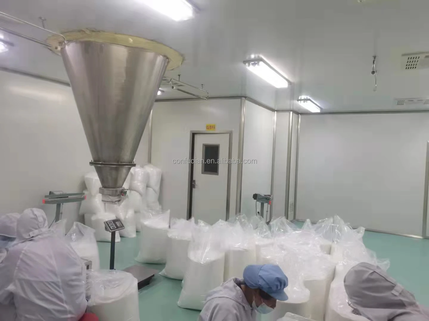 High Quality Lactobacillus Plantarum