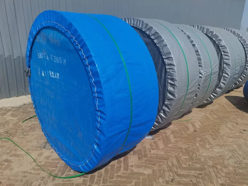 Factory quality bending resistance corrosion resistance Conveyor Belt for building