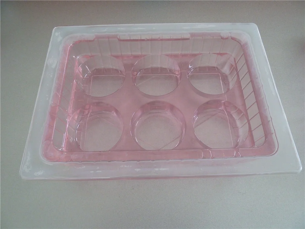 disposable chocolate box , 24 cavity chocolate container with clear lid/ cake box packaging