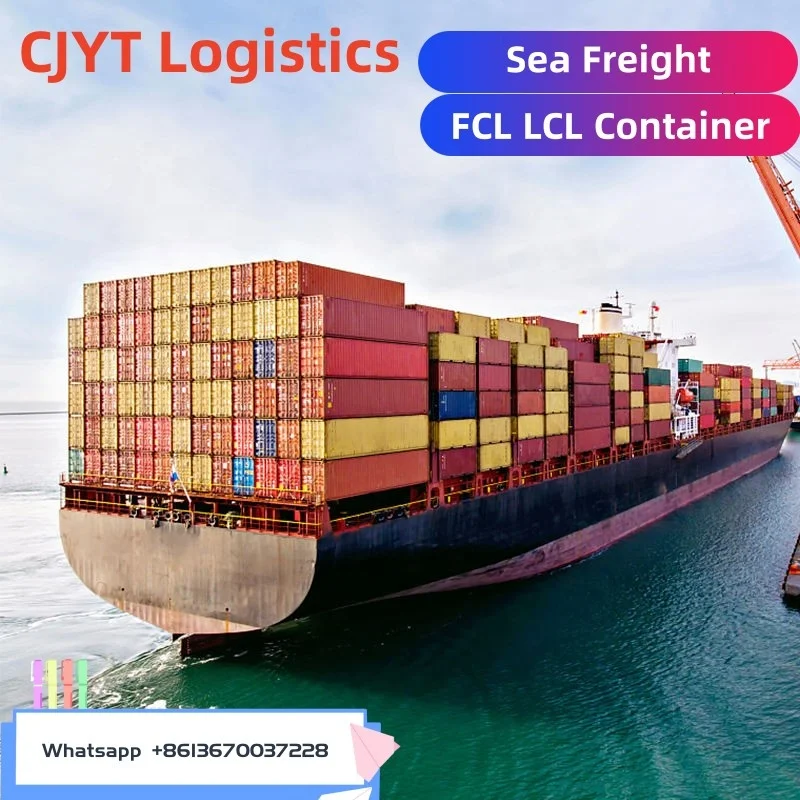 +12 years China Shipping Company Sea Shipping Agent to Benin/Bermuda/Bhutan/Bolivia From Beijing Shenzhen Guangzhou