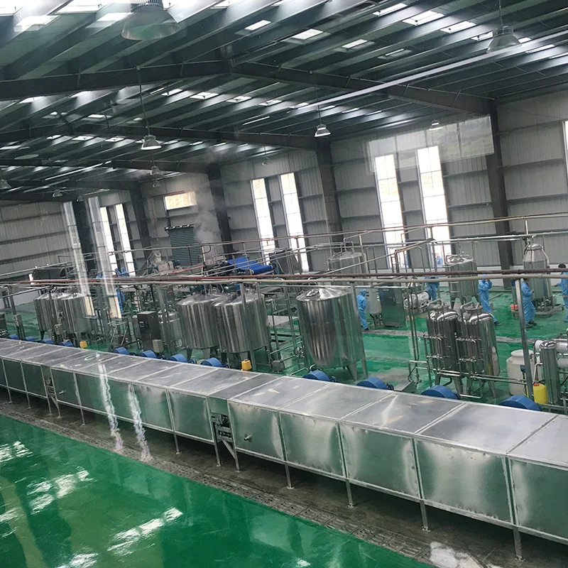 Automatic dry/dried/drying fruit plant machine processing line manufacturer