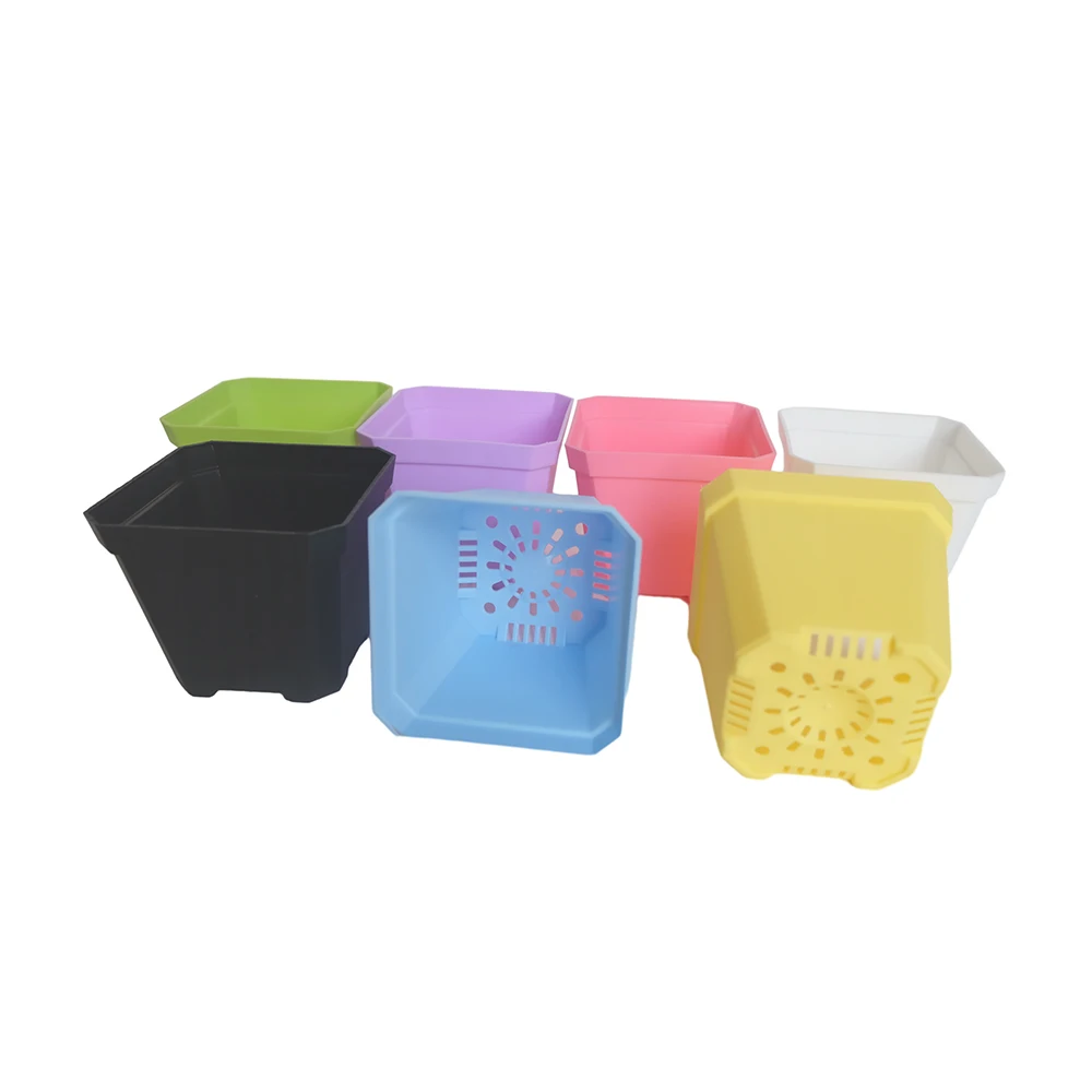 Rectangular Unique Horticulture Plastic Indoor Succulent Pots For Plants