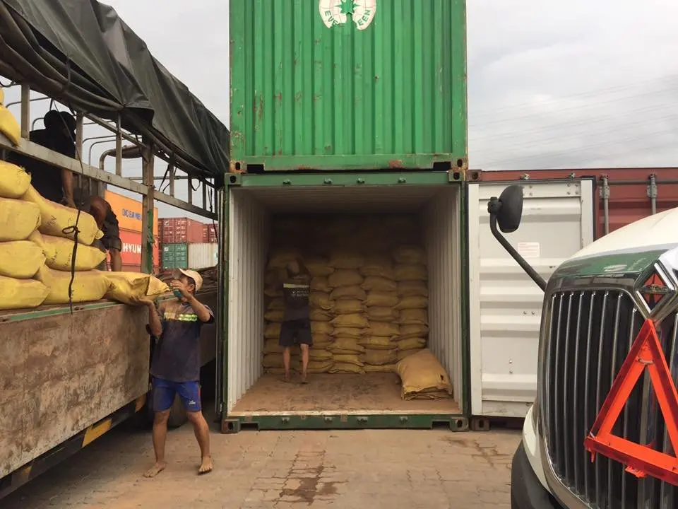 Best Seller High Quality Coconut Shell Powder Dried Raw PP Material for Agriculture Must-Buy Item from Vietnam Hot Deals Ever