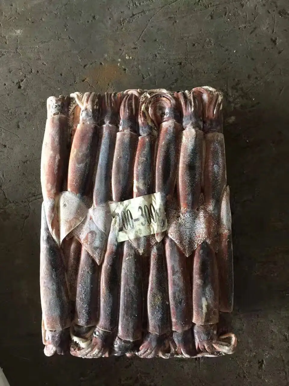 Морской замороженный кальмар illex для рыболовной приманки