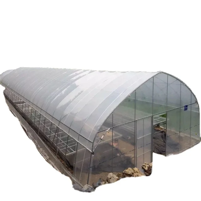Single tunnel greenhouse for large scale growth