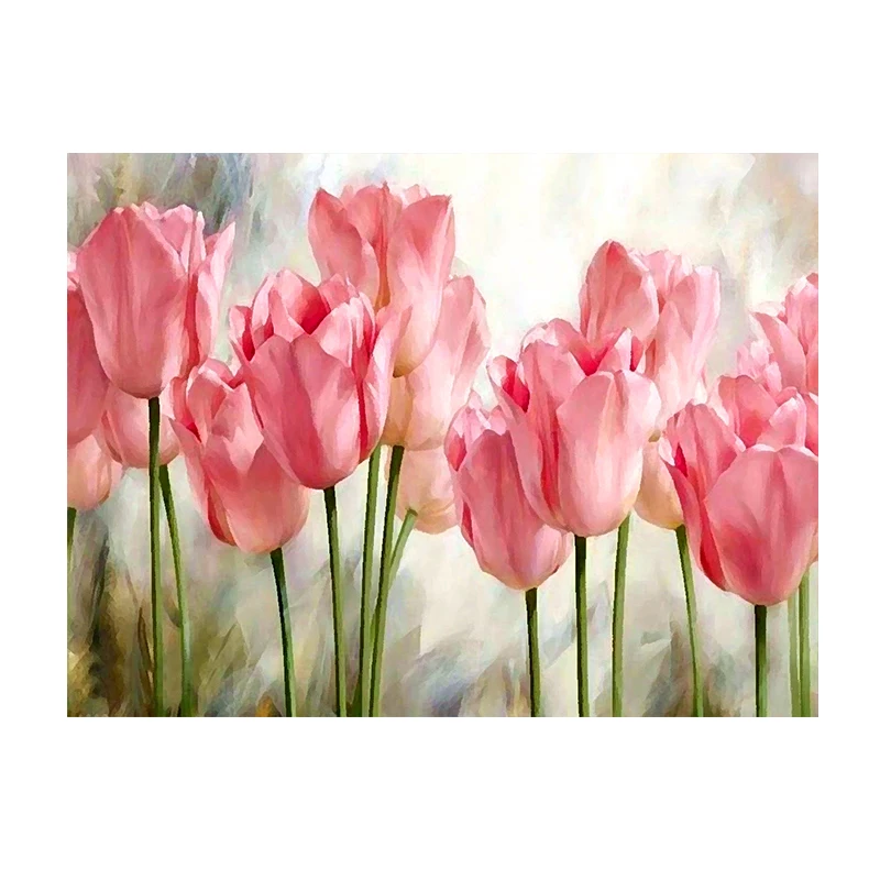 DropShipping & Wholesale  DIY Painting by Numbers for Adults On Canvas Dutch tulip flowers, DIY Oil Painting Kit
