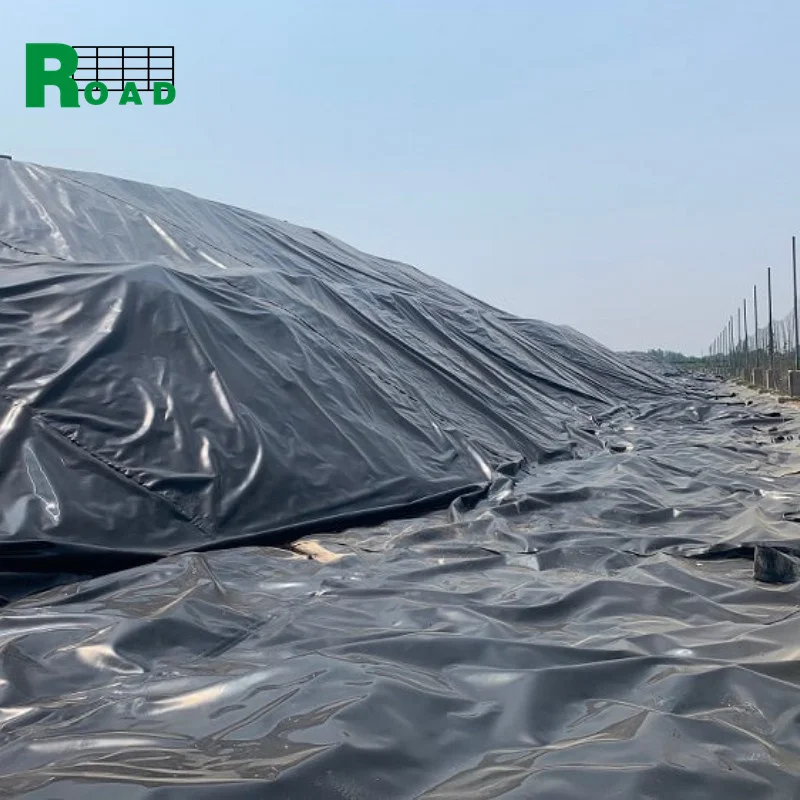 High Quality 1.0mm 2.0mm Water Waterproof Membrane Fish tank dam pond liner price HDPE Geomembrane