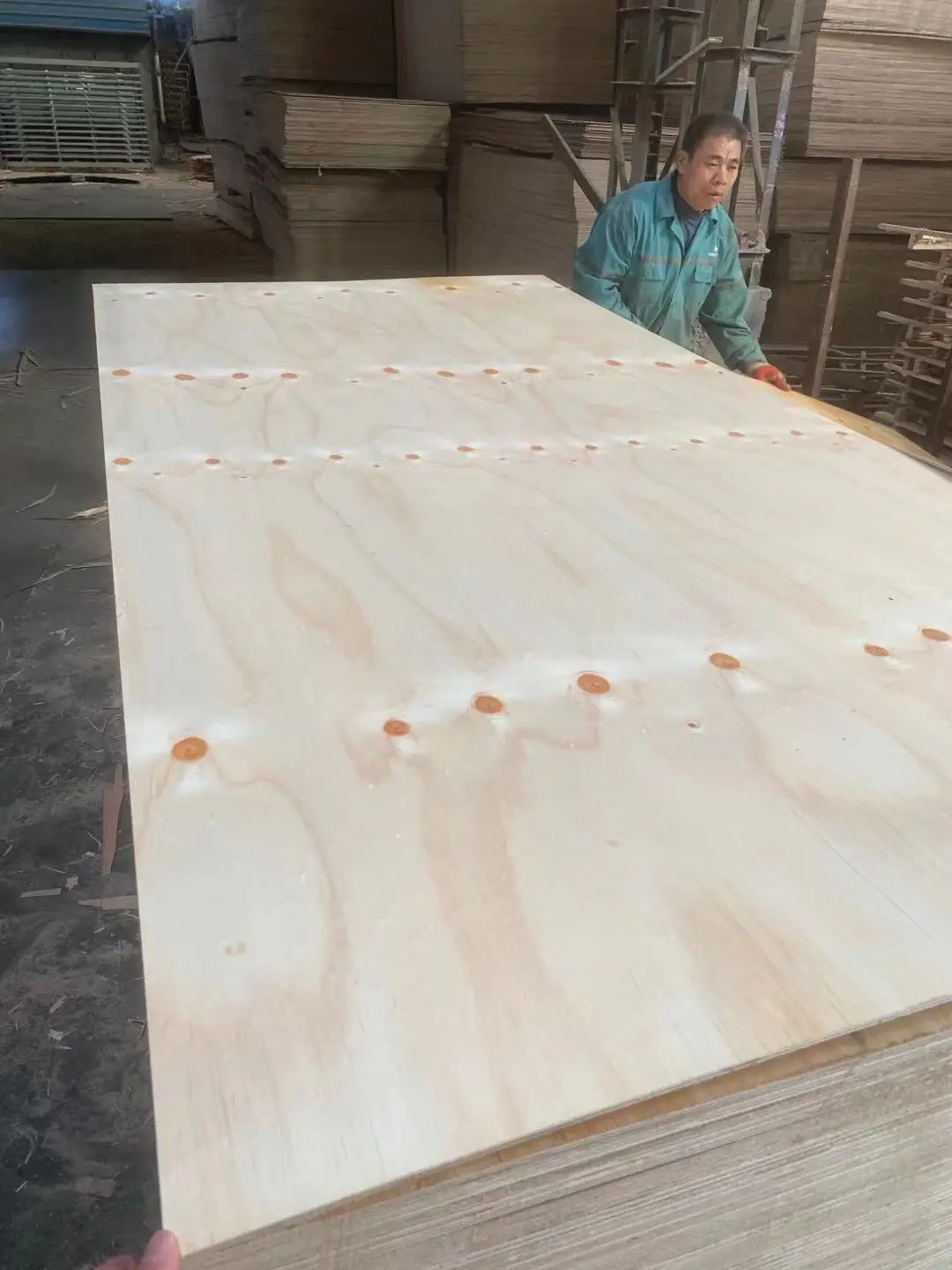  18 мм ламинированный Тополь фанерный лист для оптовой продажи