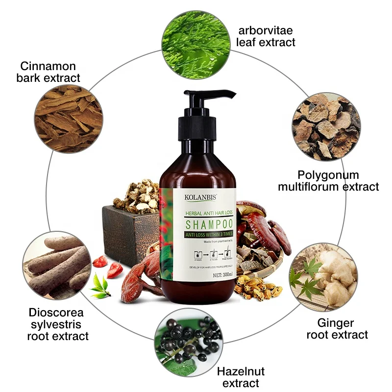 OEM ODM OBM Anti Hair Loss Shampoo Organic Herbal Anti Hair Fall Hair Cleanser Pareben Free KOLANBIS