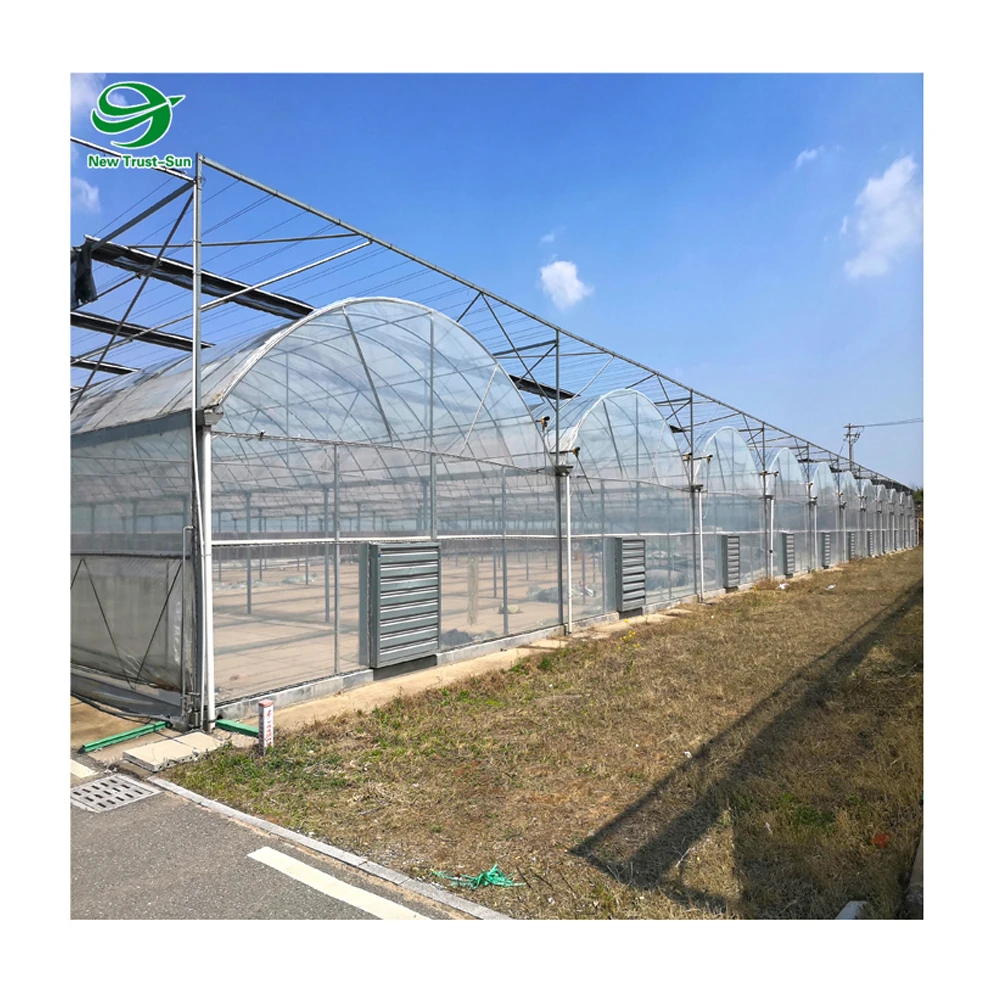 
PVC Farm Hydroponic Grow Systems for Agricultural Tomato/Salad/Strawberry Greenhouse 