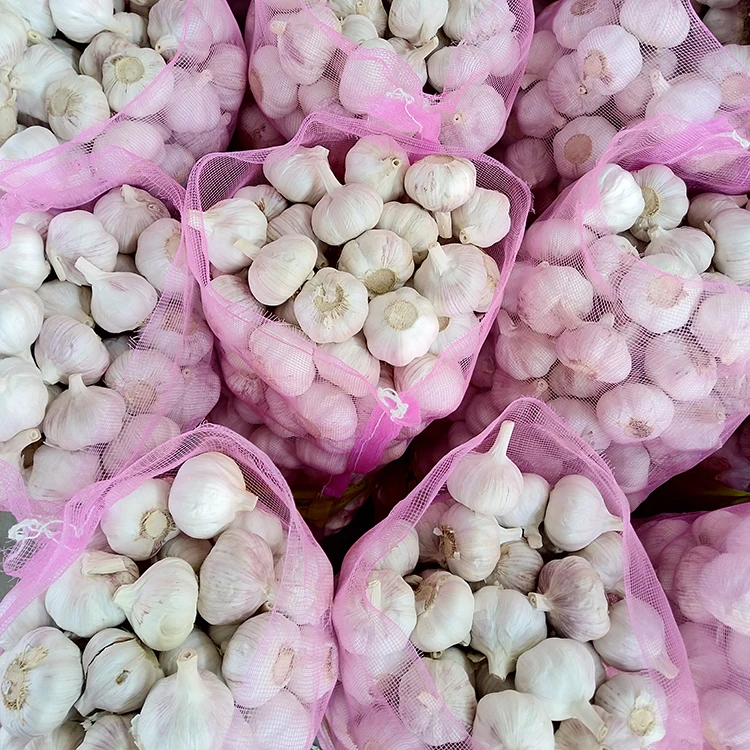 5.5 Cm Factory Pure White Fresh Garlic Price/ Bulk Garlic For Sale/ Garlic From China