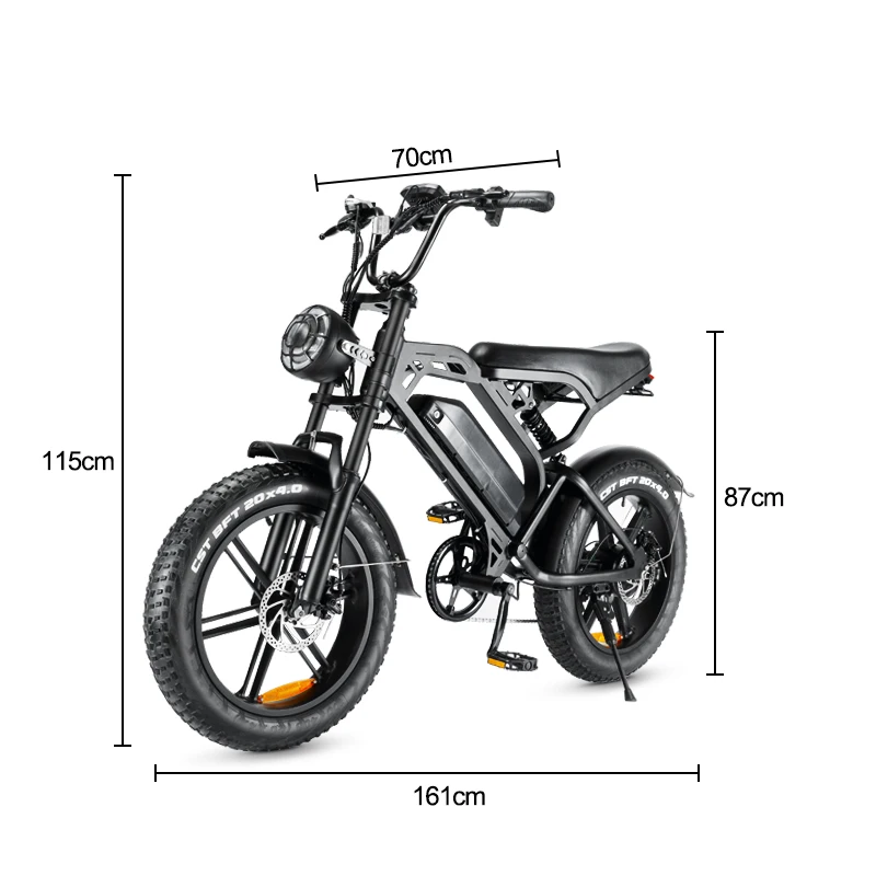 EU Stock Ebike 750W Electric Bike 20'*4 Big Tire Fat Bike Electric Mountain City Ride Off Road Electric Bikes