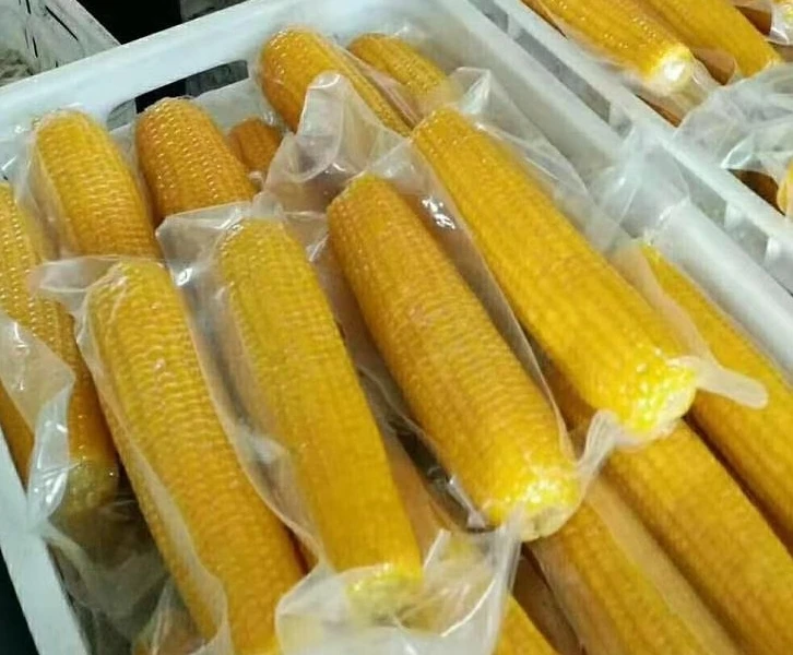 Chinese  Factory Wholesale Healthy Delicious  Sweet  Vacuum Packaged Corn