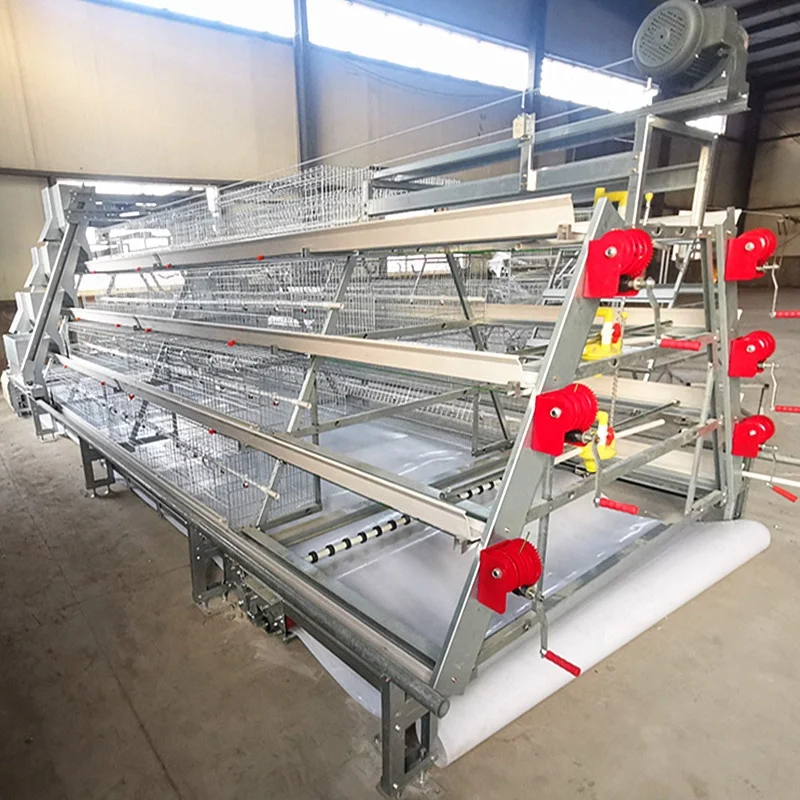 A Type H Type Layer Chicken Hens Cage Poultry Farm Feeder Chicks Broiler Automatic Equipment Chicken Coop Design