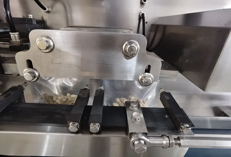 Automatic Horizontal Oat Flakes Standup Pouch Doypack Ziplock Premade Bag Packing machine