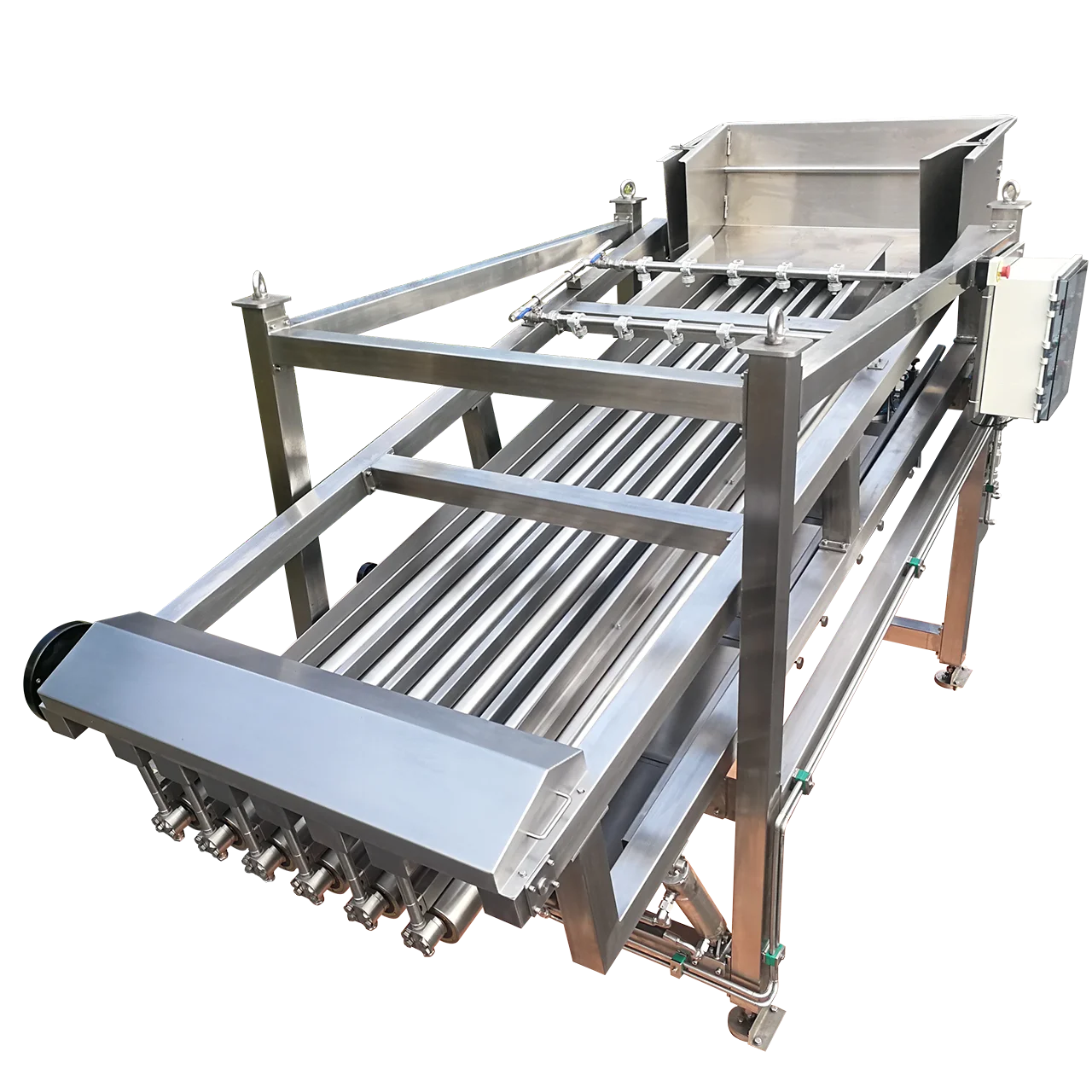 Fastgrader B Fish Grading Machine for Round Fish