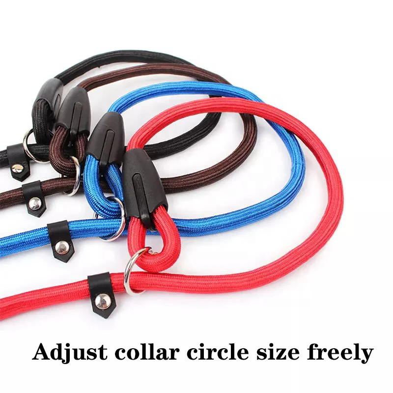 Manufacturers Free Sample Durable Nylon Slip Lead Dog Leash Adjustable Loop Slip Lead Pet leash