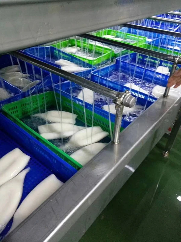 Fresh Whole Cleaned Calamari u5 u10 First Ring Frozen Gigas Squid Tube