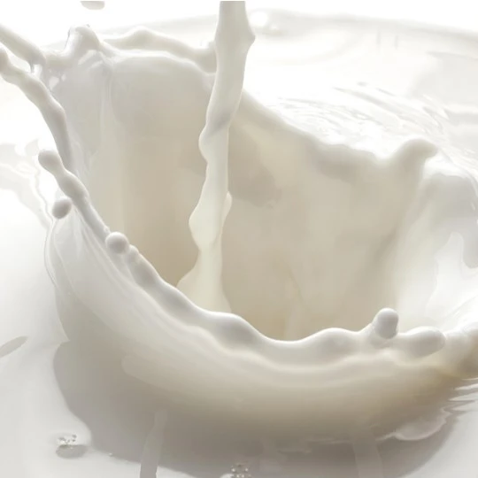 Bulk Sale Lactose High Quality Food Additive Lactose Powder Free Sample