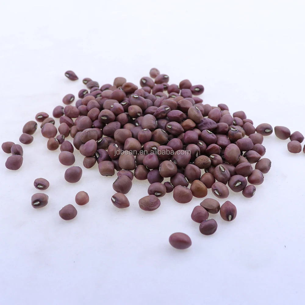 Сухой органический Non Gmo коровий горох бобы красный Горох Семена