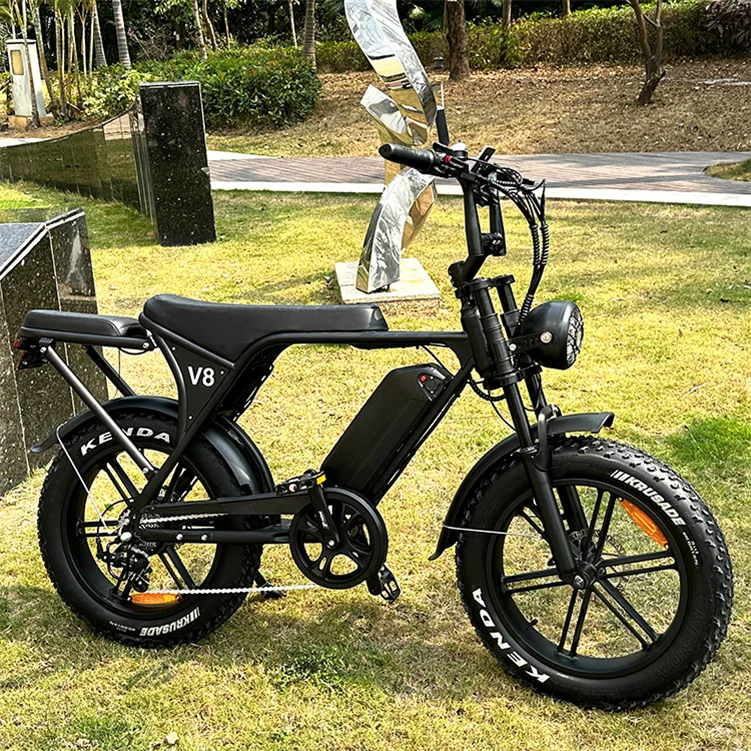 20 Inch 750w Fat Bike E-Bike Ebike V8 Fat Tyre E Bike Fatbike Electric Bike Fat Tire Wheel Bicycle