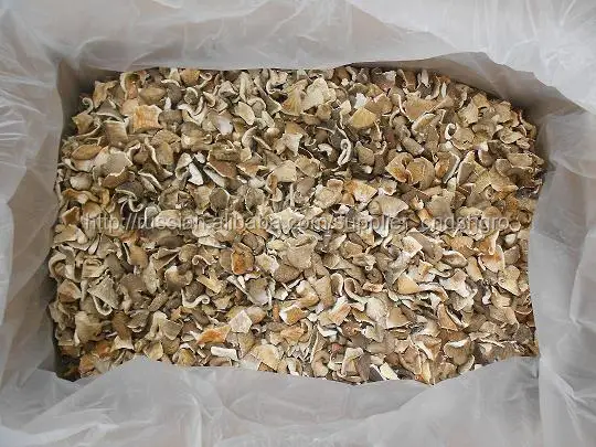 Китайские грибы вешенки 2*4см