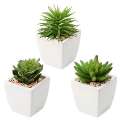 Wholesale Artificial Succulent Pants Bonsai Succulent With Square Ceramic Pot