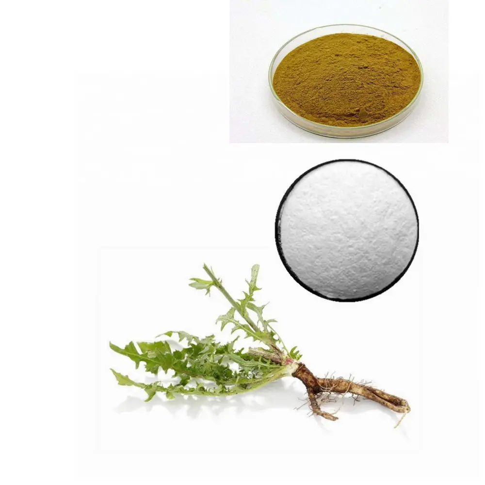 Wholesale High Quality Natural Inulin syrup, chicory root extract inulin ,Bulk organic Inulin Powder